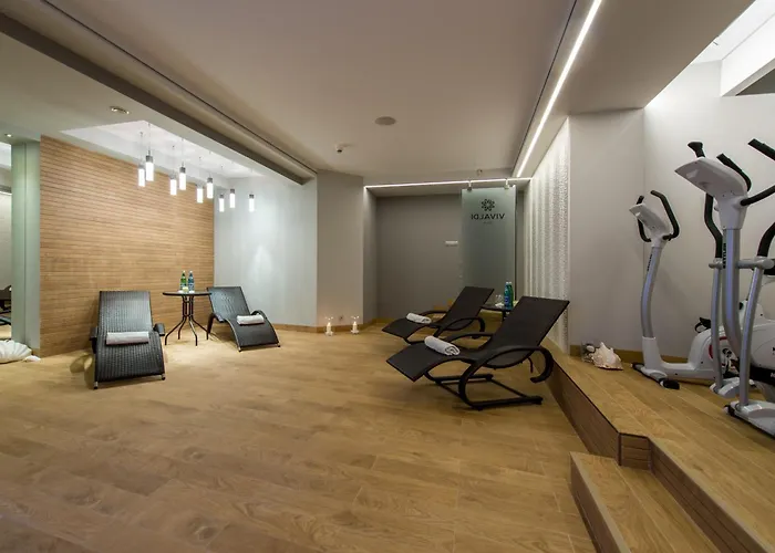 Vivaldi Отель 4*