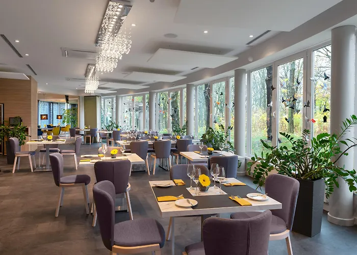 Vivaldi Познань